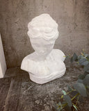 Lady Bridgerton Bust