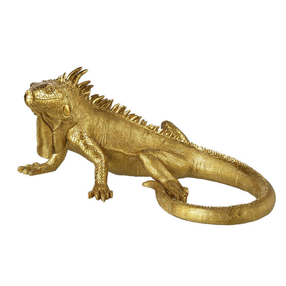 Gold Iguana